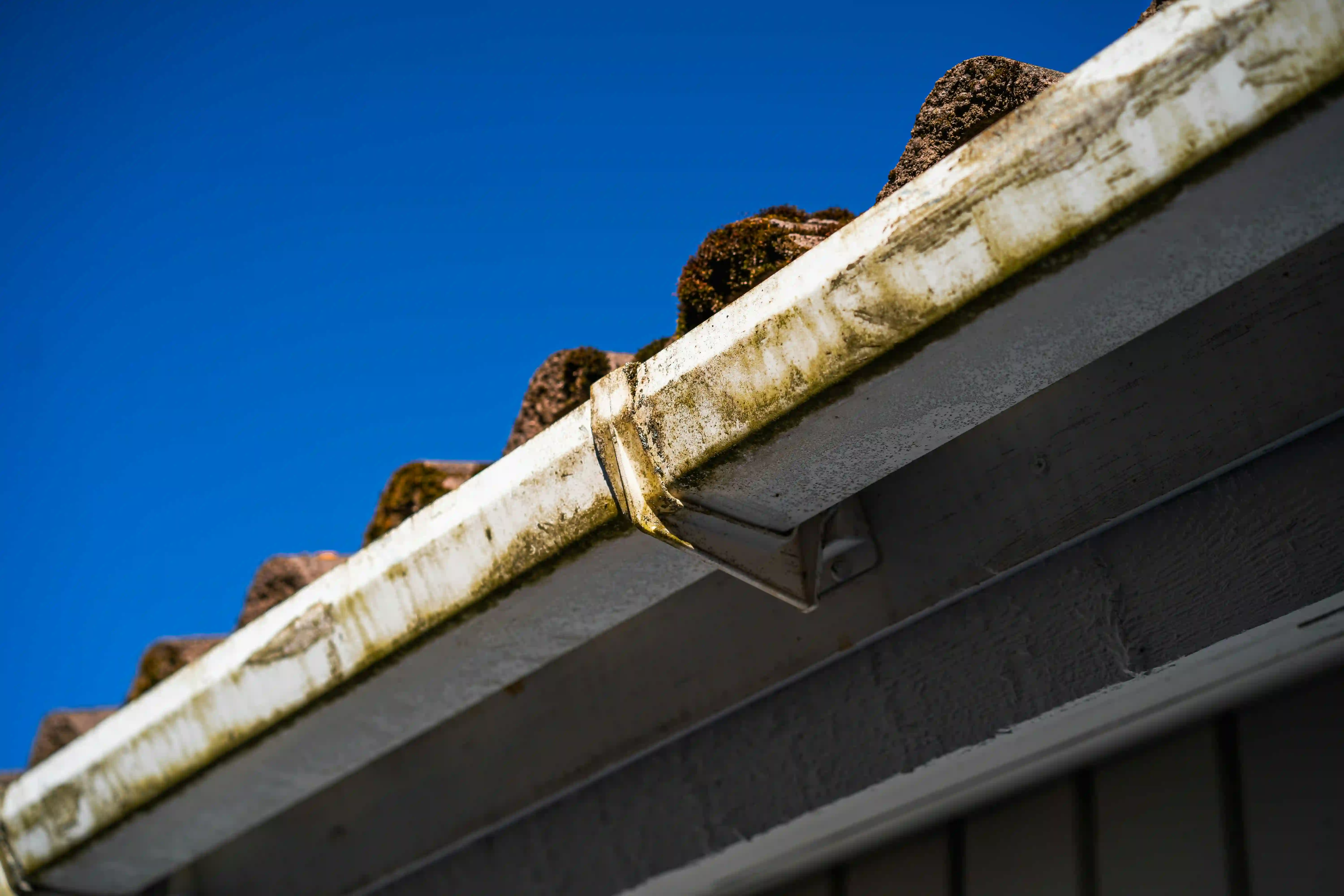 Dirty Gutter