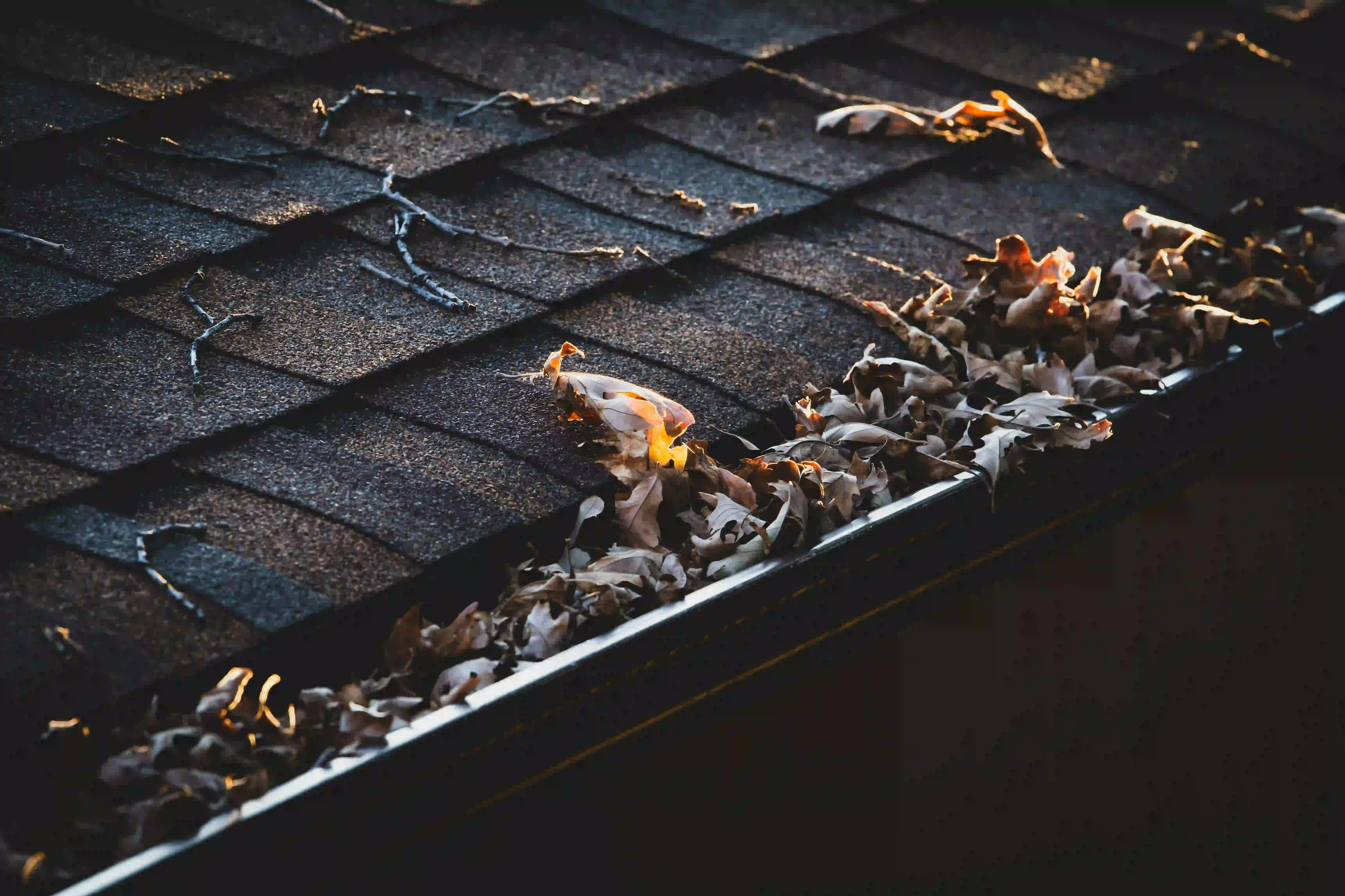 Gutter Installation