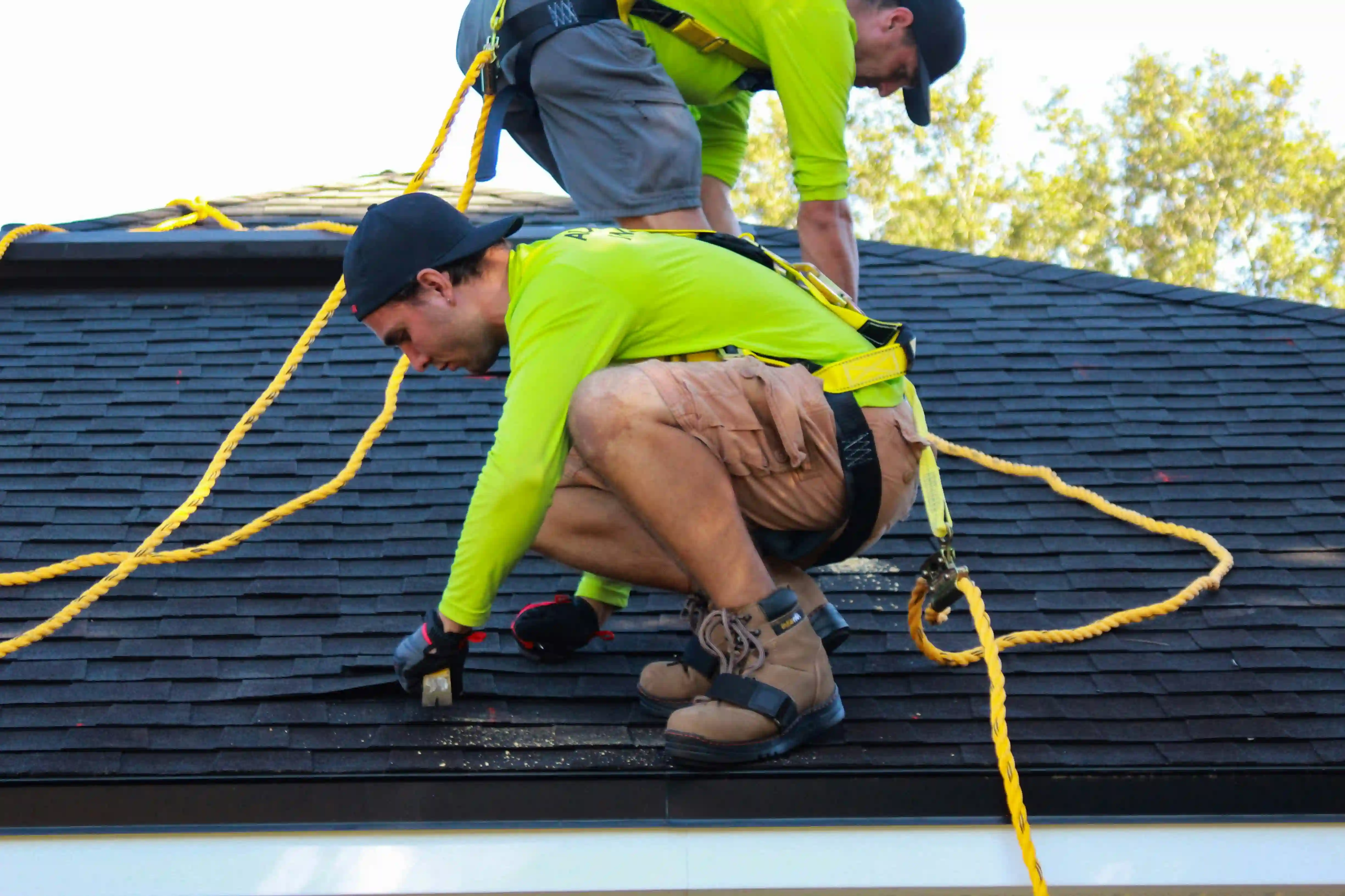 Roof Replacement