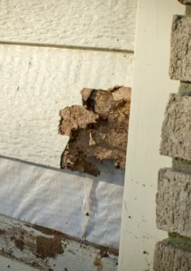 siding repair