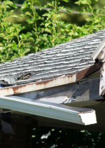 storm damage repair