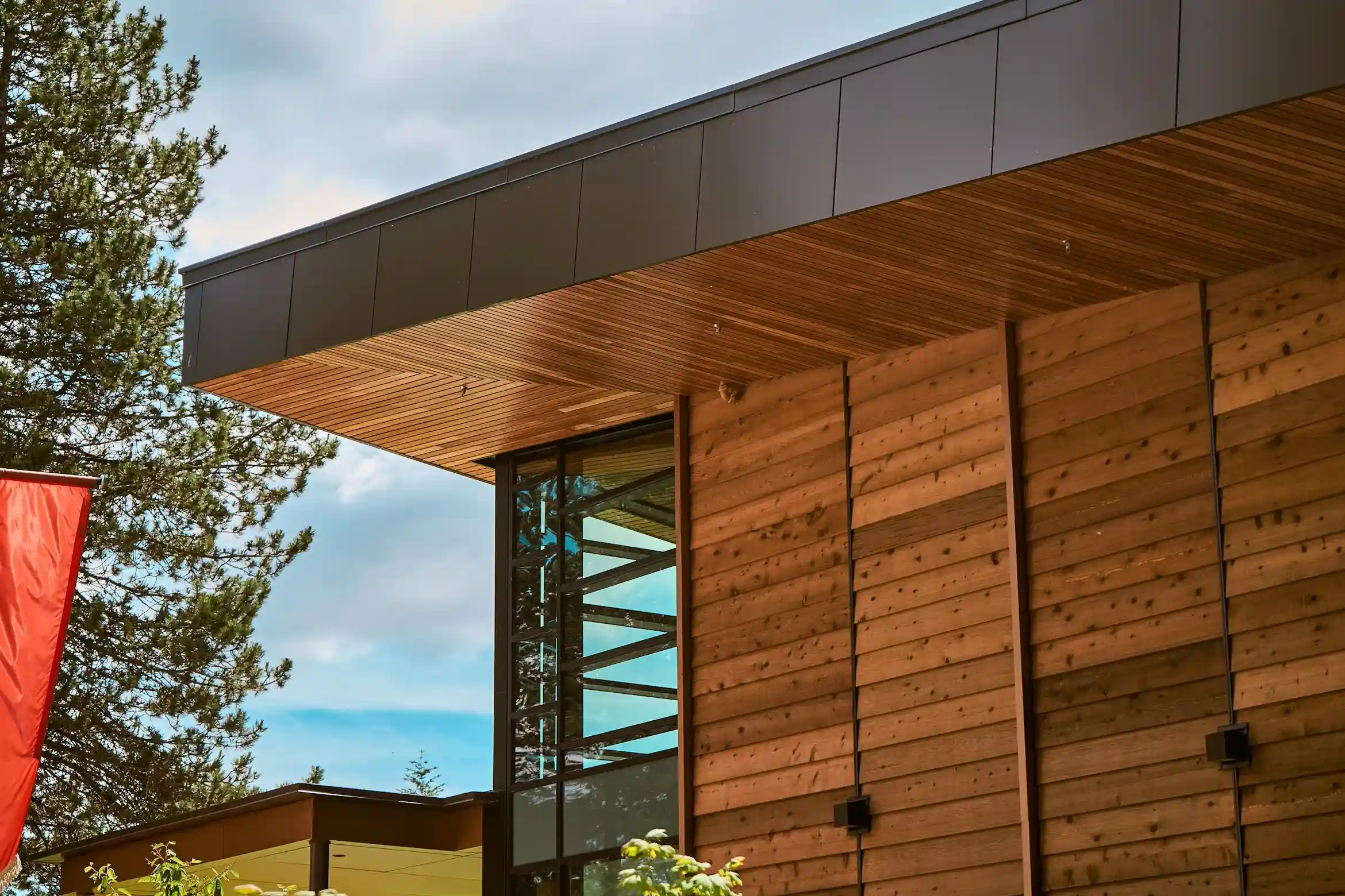 Engineered Wood Siding services