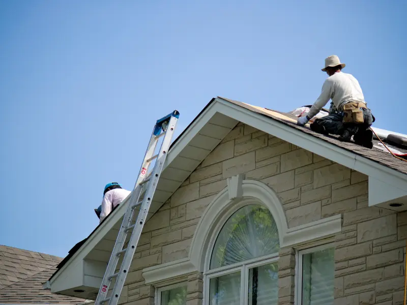 Two roofers replacing shingles on a house roof using a ladder.