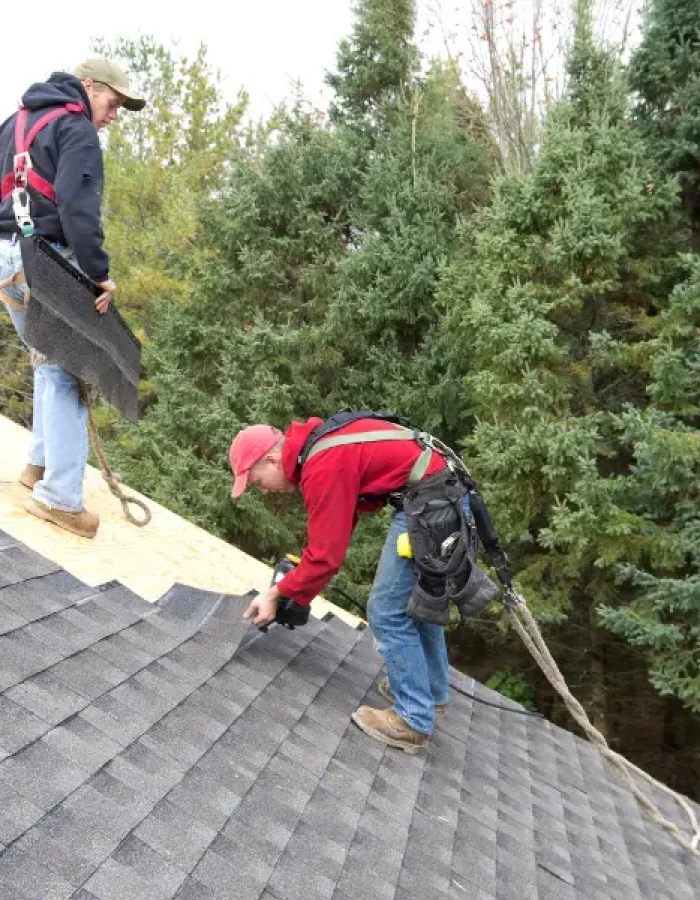 Two roofers with safety harnesses installing shingles on a steep roof.